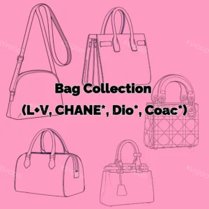 Fashion Bag Collection Fashion Bag Collection